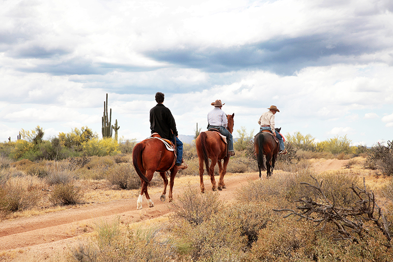 Arizona Cowboy College : Arizona : Richard Moore : Photographer